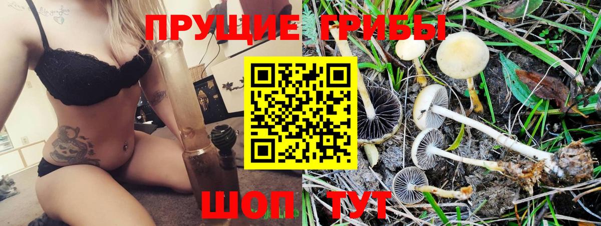 Псилоцибиновые грибы Psilocybine cubensis  Вход с VPN  Павлово 